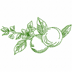 Fruits Embroidery Design 5